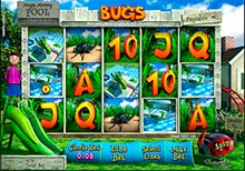 Crazy Bugs Casino Game Online