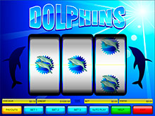 Ice Paradise Slots Machine