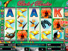 Play Cherry Master Slot Machine Online