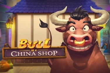 Bull In a China Shop